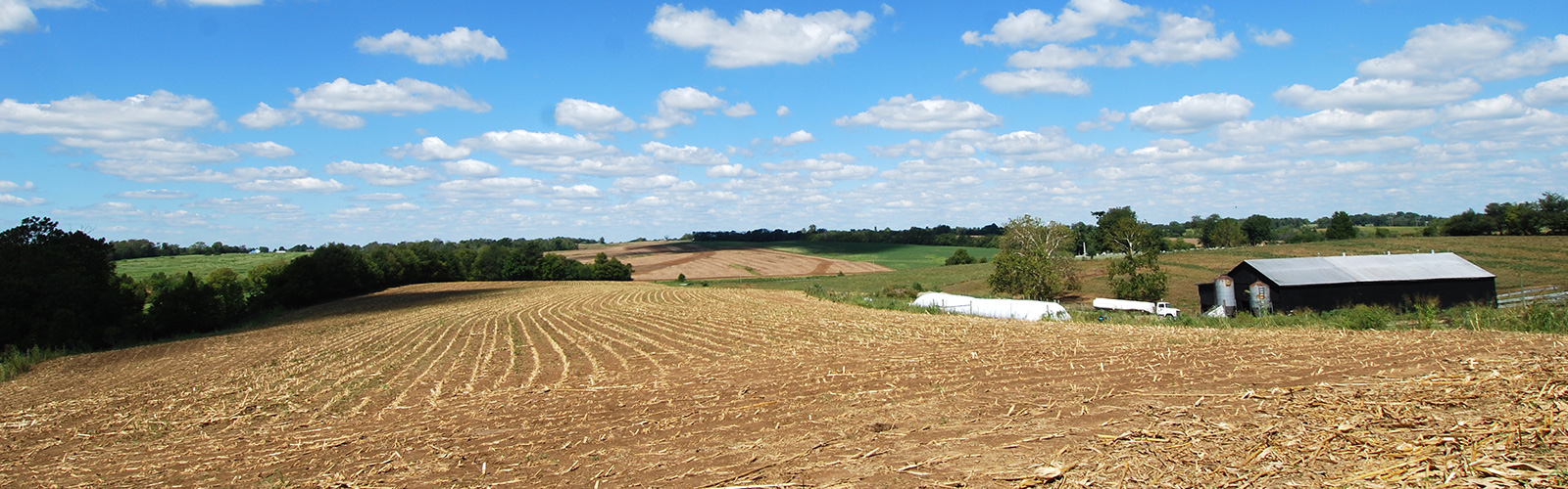 Agriculture